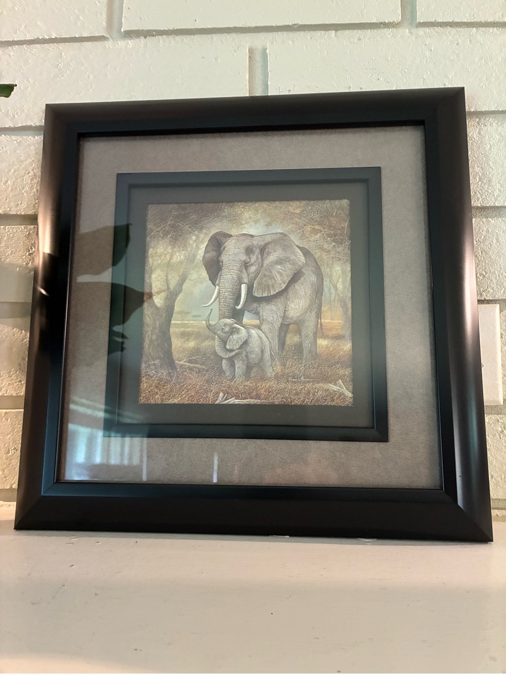 Elephant Mother & Calf Framed Wall Art
